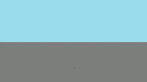 Autosexual Flag (5'x3')