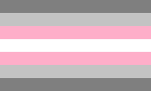 Demigirl Pride Flag (5'x'3)