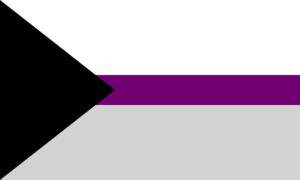 Demisexual Pride Flag (5'x3')