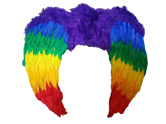Rainbow Pride Feather Wings