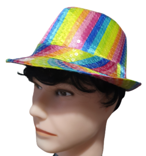 Rainbow Pride Sequin Hat