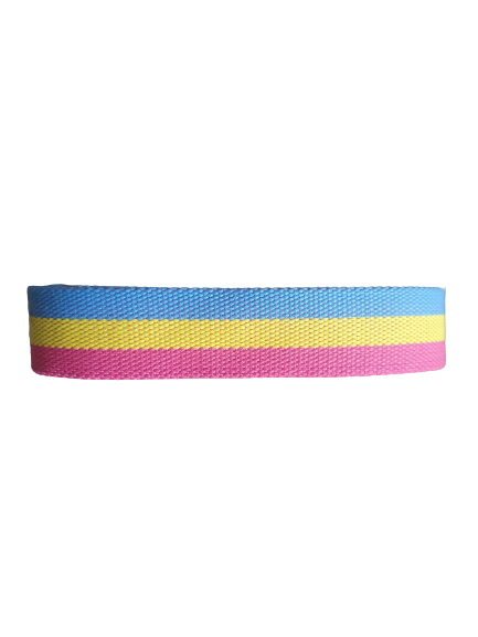 Pansexual Fabric Belt (125cm) - Image 2