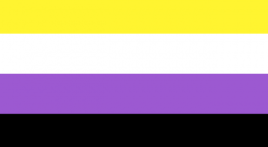Non-Binary Flag (5'x3')
