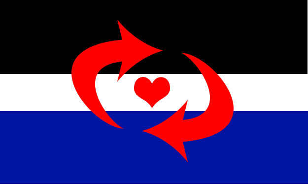 Switch Pride Flag (5'x3')
