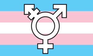 Transgender Symbol Flag (5'x3')
