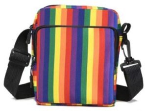 Rainbow Buckle Bag