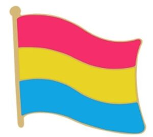 Pansexual Flag Enamel Lapel Badge