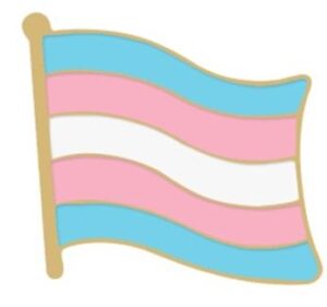 Transgender Flag Enamel Lapel Badge